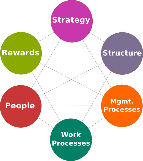 Organization Development Positive Coaching